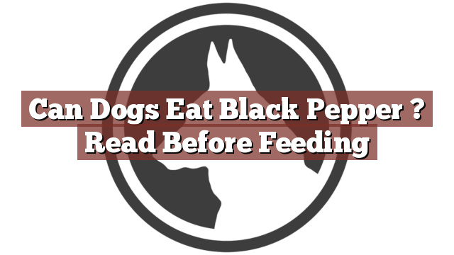 Can Dogs Eat Black Pepper ? Read Before Feeding