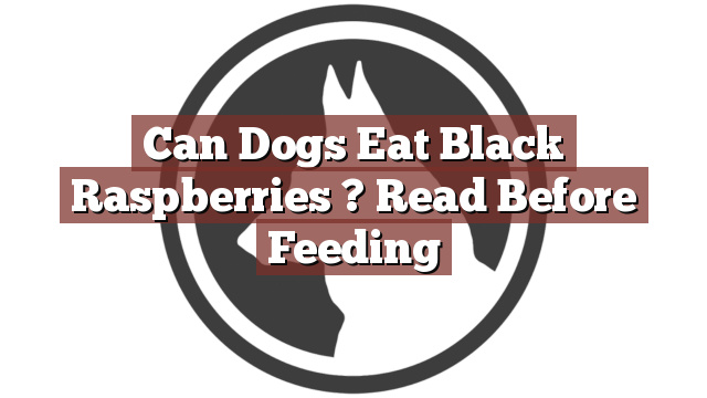 Can Dogs Eat Black Raspberries ? Read Before Feeding