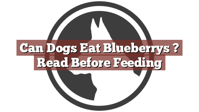 Can Dogs Eat Blueberrys ? Read Before Feeding