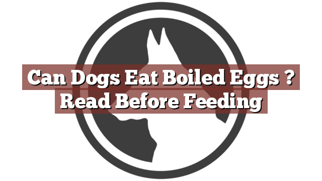 Can Dogs Eat Boiled Eggs ? Read Before Feeding