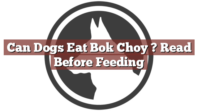 Can Dogs Eat Bok Choy ? Read Before Feeding