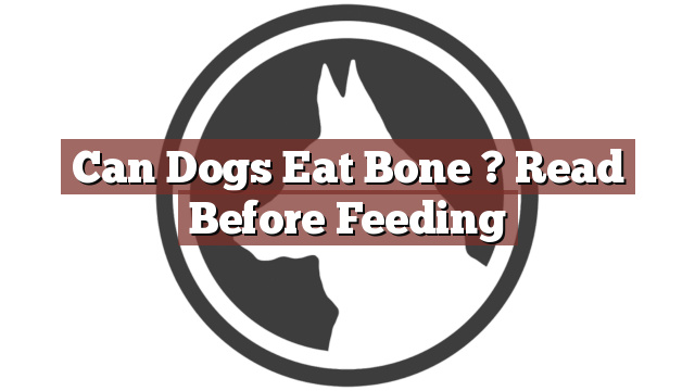 Can Dogs Eat Bone ? Read Before Feeding