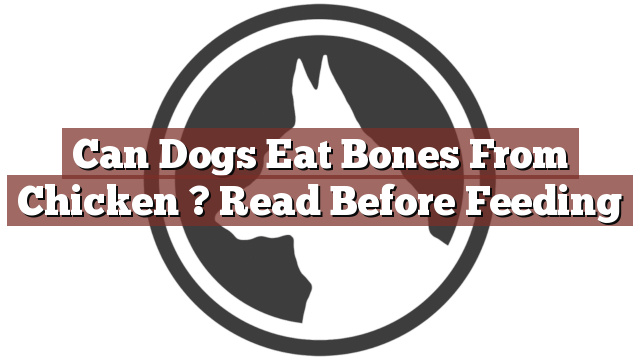 Can Dogs Eat Bones From Chicken ? Read Before Feeding