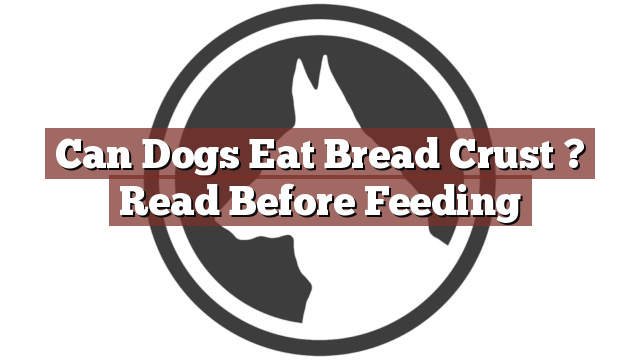 Can Dogs Eat Bread Crust ? Read Before Feeding