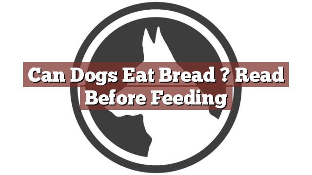 Can Dogs Eat Bread ? Read Before Feeding
