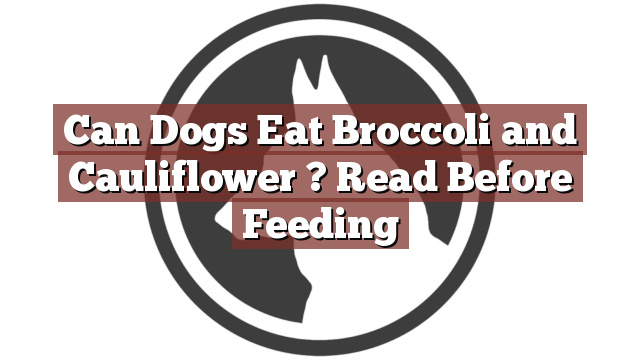 Can Dogs Eat Broccoli and Cauliflower ? Read Before Feeding