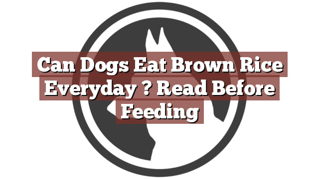 Can Dogs Eat Brown Rice Everyday ? Read Before Feeding