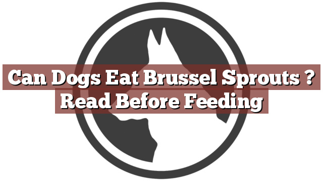 Can Dogs Eat Brussel Sprouts ? Read Before Feeding