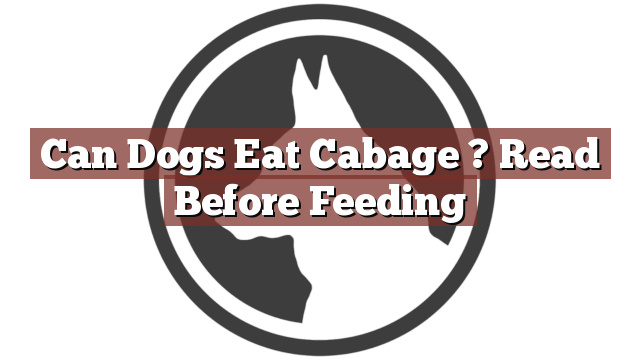 Can Dogs Eat Cabage ? Read Before Feeding