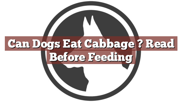 Can Dogs Eat Cabbage ? Read Before Feeding