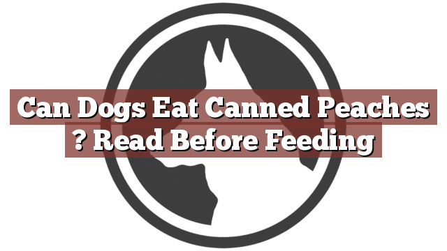 Can Dogs Eat Canned Peaches ? Read Before Feeding