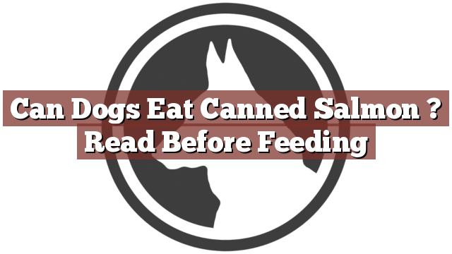 Can Dogs Eat Canned Salmon ? Read Before Feeding