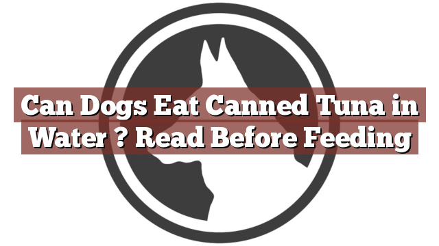 Can Dogs Eat Canned Tuna in Water ? Read Before Feeding