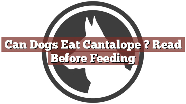 Can Dogs Eat Cantalope ? Read Before Feeding