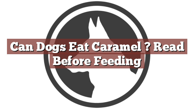 Can Dogs Eat Caramel ? Read Before Feeding