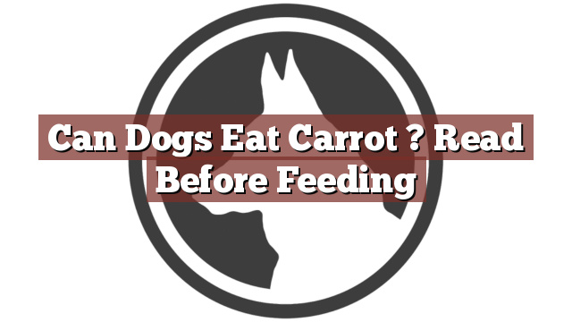 Can Dogs Eat Carrot ? Read Before Feeding