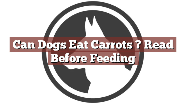Can Dogs Eat Carrots ? Read Before Feeding