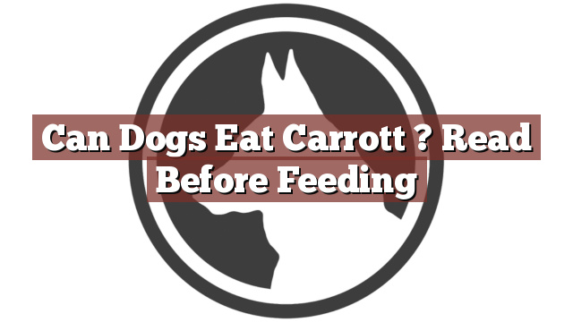 Can Dogs Eat Carrott ? Read Before Feeding