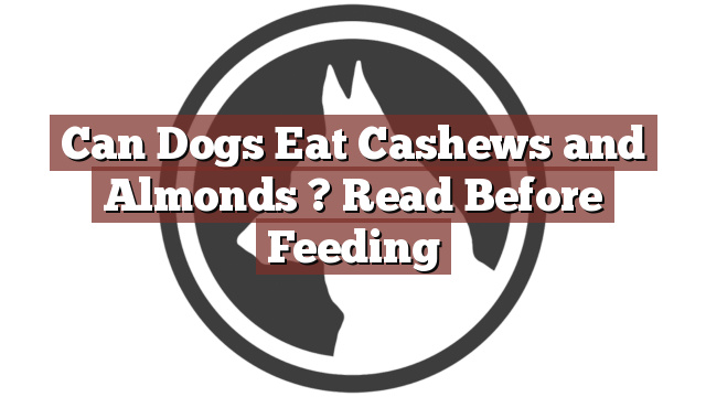 Can Dogs Eat Cashews and Almonds ? Read Before Feeding