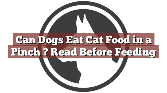 Can Dogs Eat Cat Food in a Pinch ? Read Before Feeding