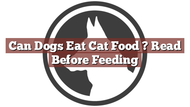 Can Dogs Eat Cat Food ? Read Before Feeding