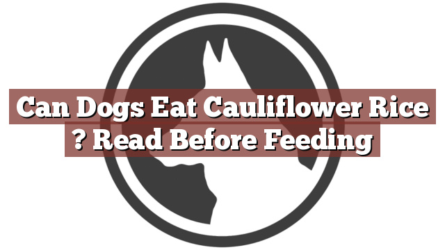 Can Dogs Eat Cauliflower Rice ? Read Before Feeding