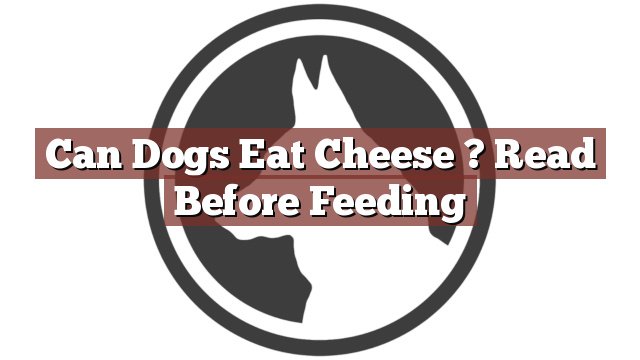 Can Dogs Eat Cheese ? Read Before Feeding