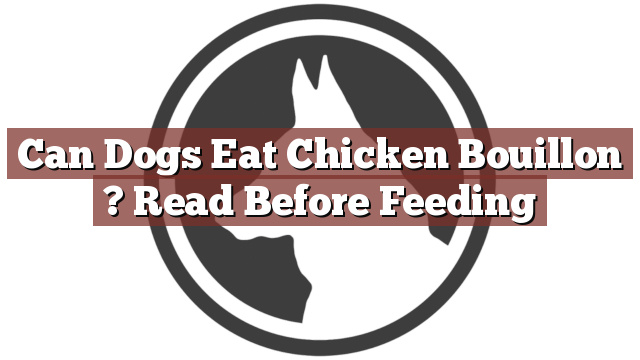 Can Dogs Eat Chicken Bouillon ? Read Before Feeding