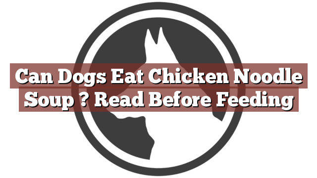 Can Dogs Eat Chicken Noodle Soup ? Read Before Feeding