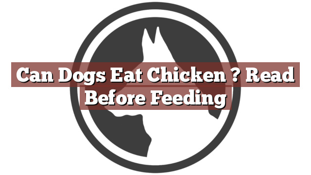 Can Dogs Eat Chicken ? Read Before Feeding