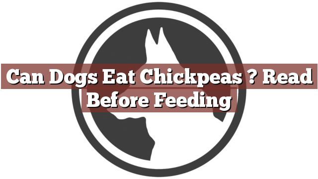Can Dogs Eat Chickpeas ? Read Before Feeding