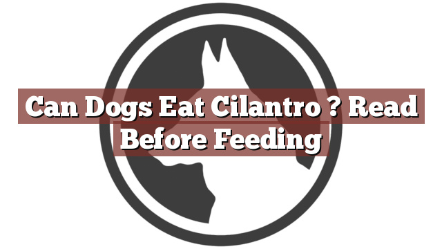Can Dogs Eat Cilantro ? Read Before Feeding