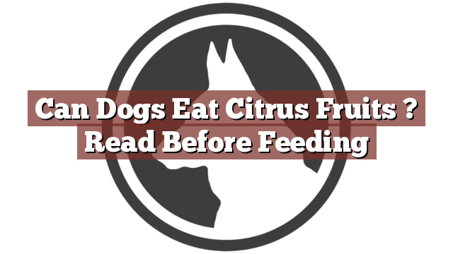 Can Dogs Eat Citrus Fruits ? Read Before Feeding