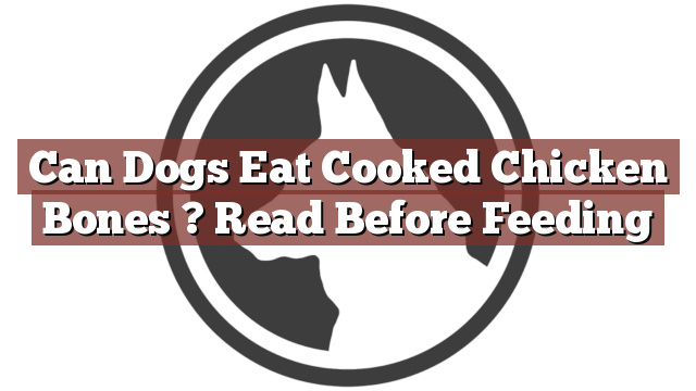 Can Dogs Eat Cooked Chicken Bones ? Read Before Feeding