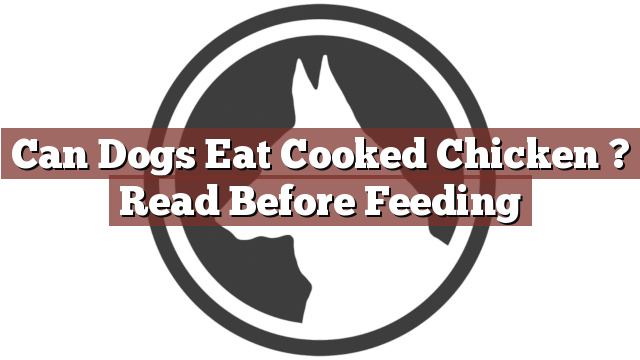 Can Dogs Eat Cooked Chicken ? Read Before Feeding