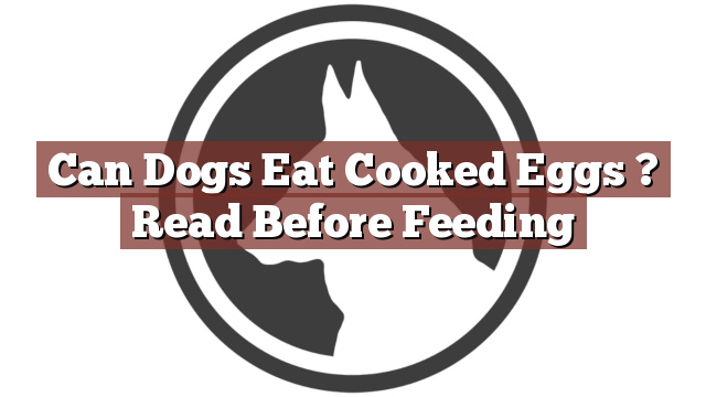 Can Dogs Eat Cooked Eggs ? Read Before Feeding