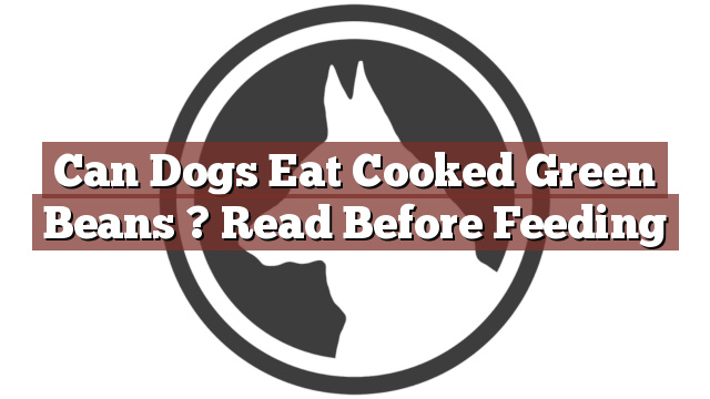 Can Dogs Eat Cooked Green Beans ? Read Before Feeding