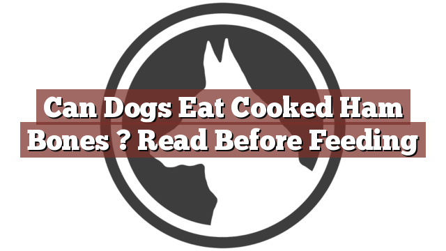 Can Dogs Eat Cooked Ham Bones ? Read Before Feeding
