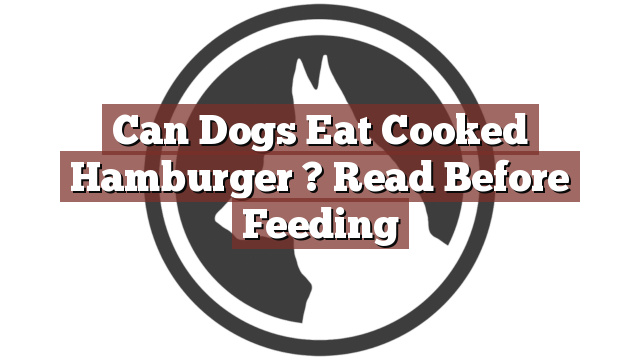 Can Dogs Eat Cooked Hamburger ? Read Before Feeding