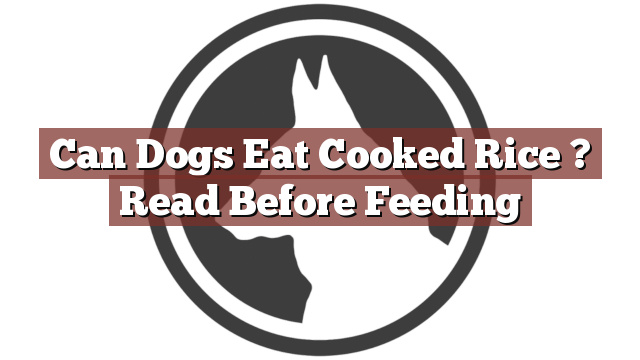 Can Dogs Eat Cooked Rice ? Read Before Feeding