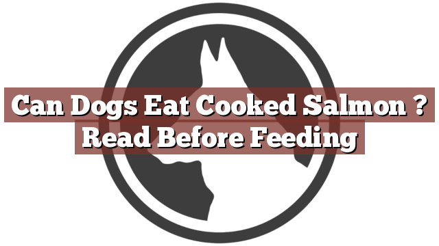 Can Dogs Eat Cooked Salmon ? Read Before Feeding