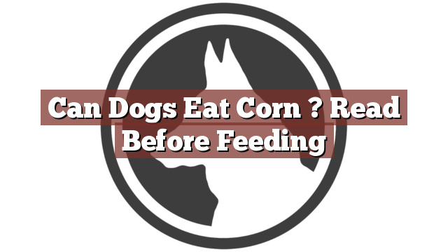 Can Dogs Eat Corn ? Read Before Feeding
