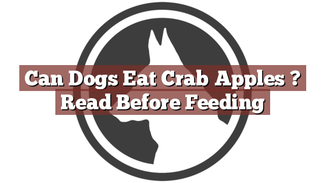 Can Dogs Eat Crab Apples ? Read Before Feeding