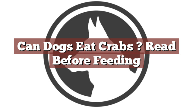 Can Dogs Eat Crabs ? Read Before Feeding