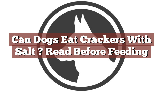 Can Dogs Eat Crackers With Salt ? Read Before Feeding