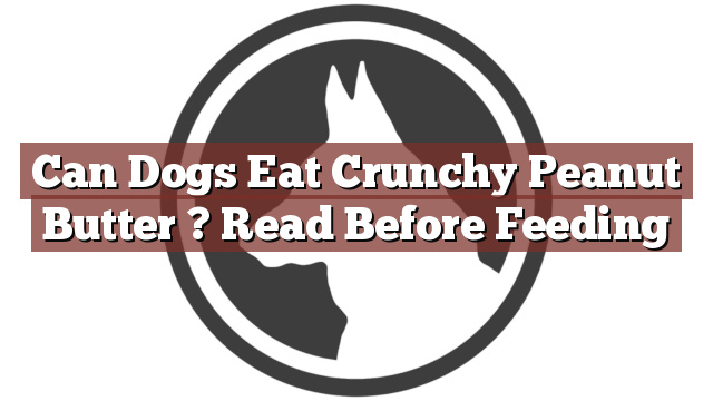 Can Dogs Eat Crunchy Peanut Butter ? Read Before Feeding