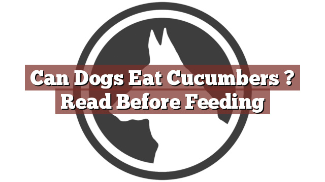 Can Dogs Eat Cucumbers ? Read Before Feeding