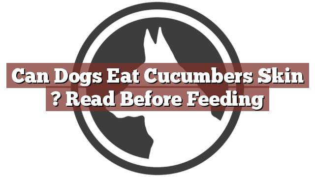 Can Dogs Eat Cucumbers Skin ? Read Before Feeding