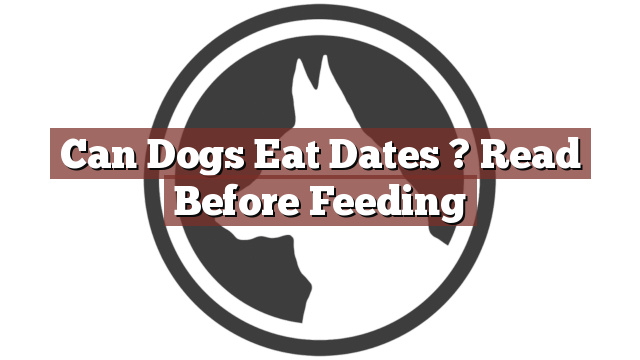 Can Dogs Eat Dates ? Read Before Feeding