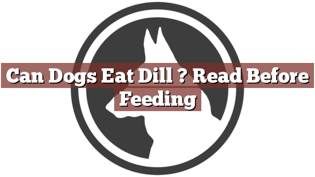 Can Dogs Eat Dill ? Read Before Feeding